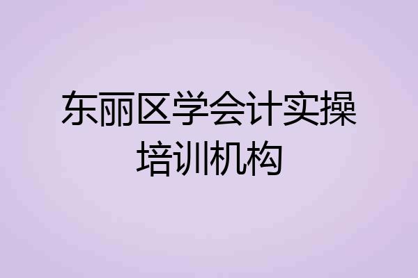 东丽区学会计实操培训机构