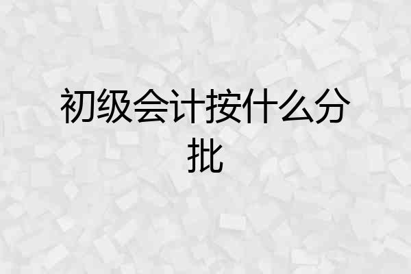 初级会计按什么分批