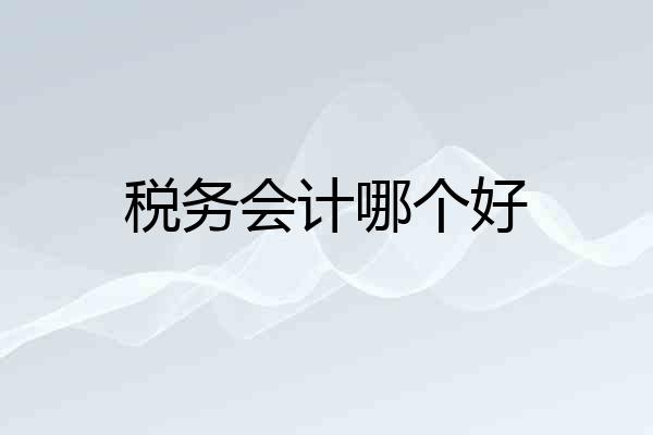 税务会计哪个好