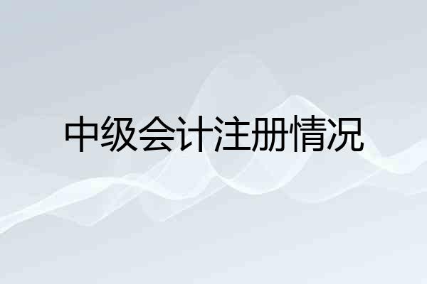 中级会计注册情况