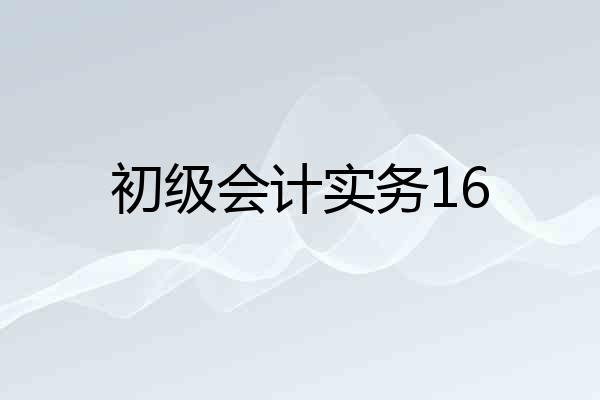 初级会计实务16