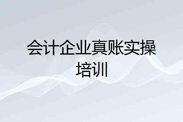 会计企业真账实操培训