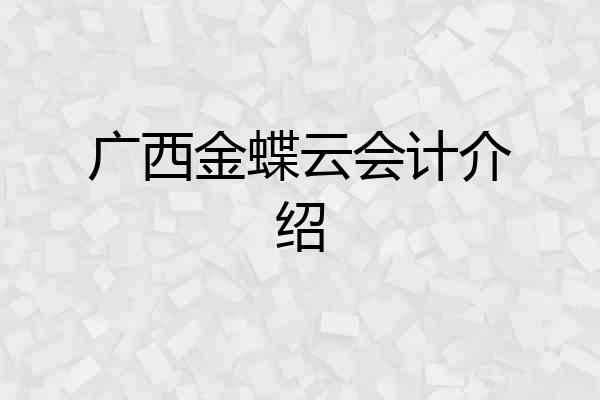 广西金蝶云会计介绍