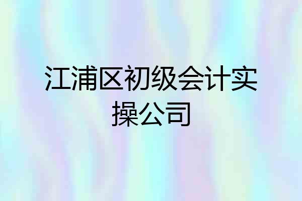 江浦区初级会计实操公司