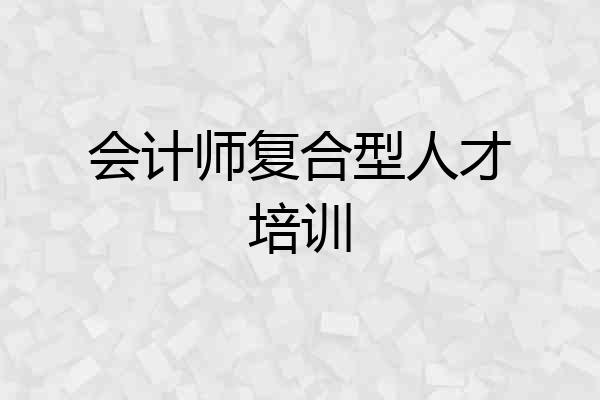 会计师复合型人才培训