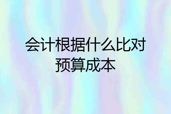会计根据什么比对预算成本