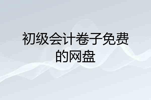 初级会计卷子免费的网盘