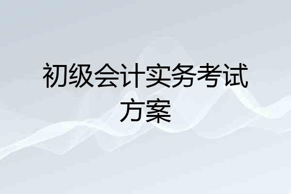 初级会计实务考试方案