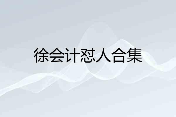徐会计怼人合集