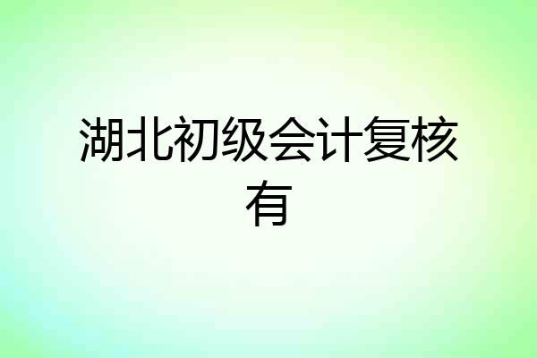 湖北初级会计复核有
