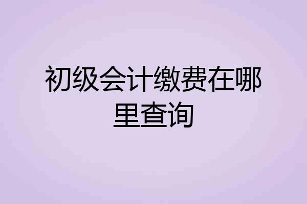 初级会计缴费在哪里查询