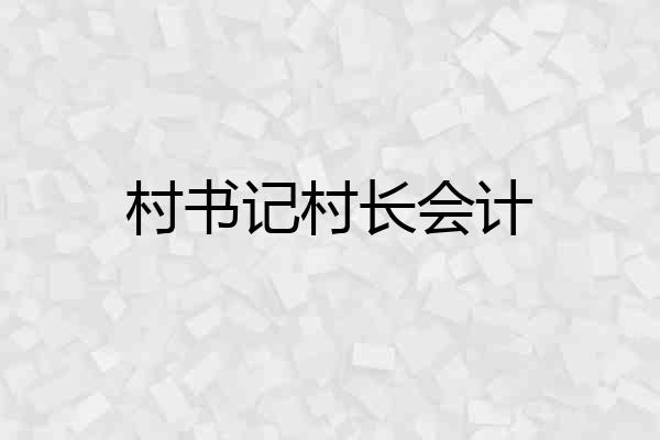 村书记村长会计