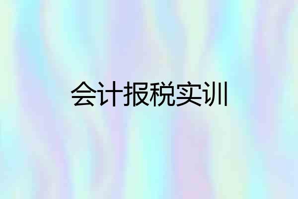 会计报税实训