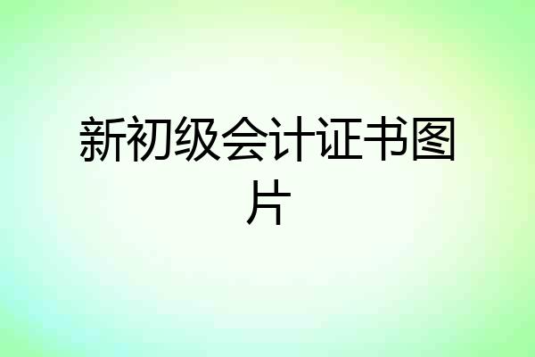 新初级会计证书图片