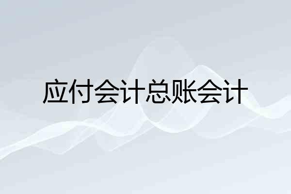 应付会计总账会计