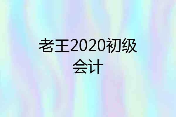 老王2020初级会计