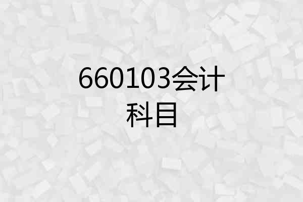 660103会计科目