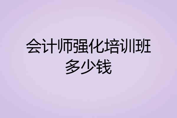 会计师强化培训班多少钱