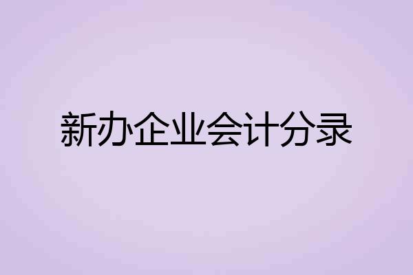 新办企业会计分录