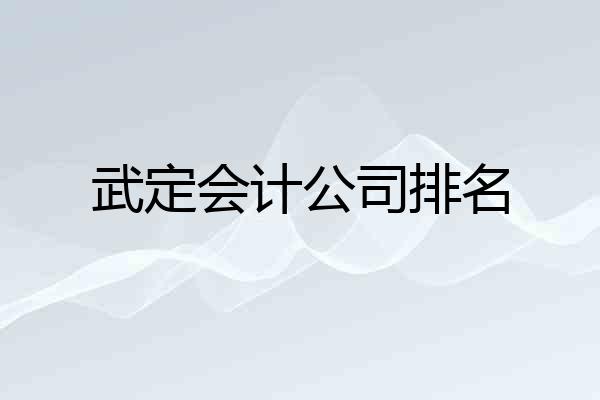 武定会计公司排名