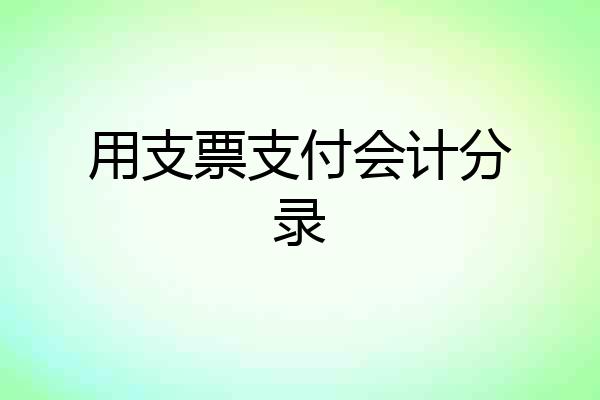 用支票支付会计分录