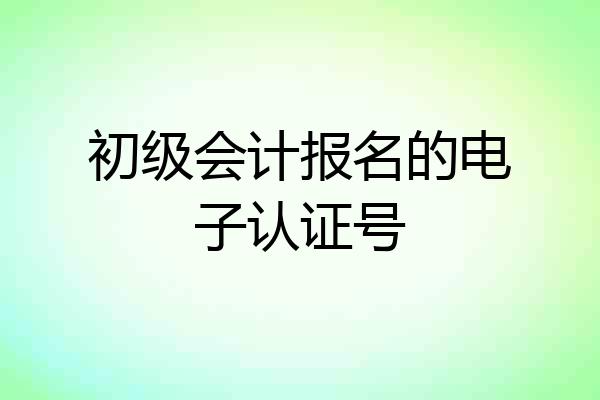 初级会计报名的电子认证号