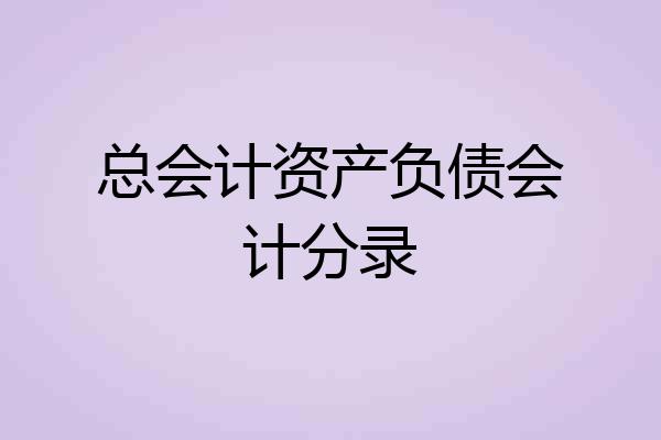 总会计资产负债会计分录