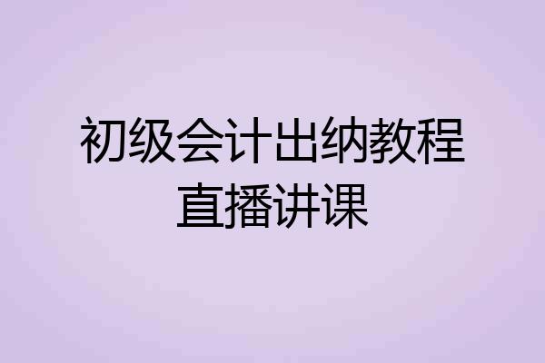 初级会计出纳教程直播讲课