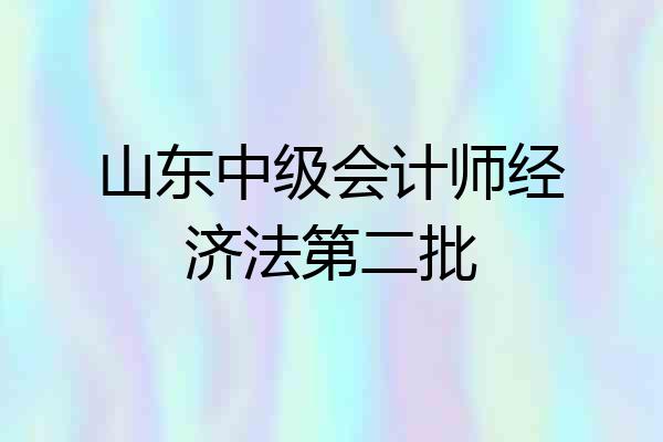 山东中级会计师经济法第二批