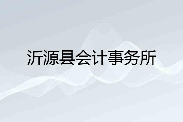 沂源县会计事务所