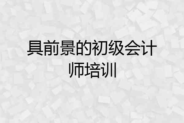 具前景的初级会计师培训