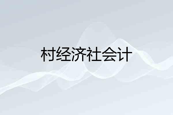 村经济社会计