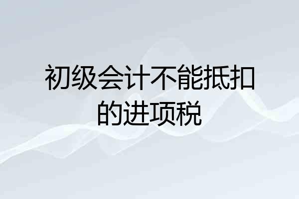 初级会计不能抵扣的进项税