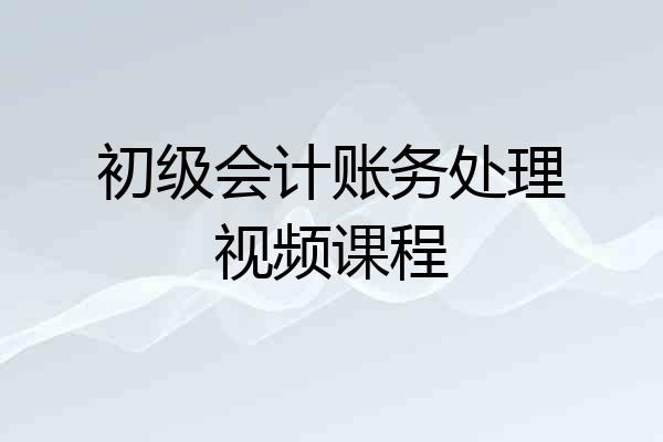 初级会计账务处理视频课程