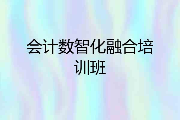 会计数智化融合培训班