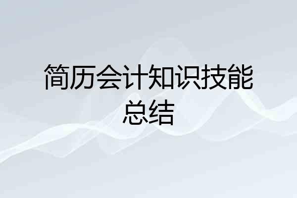 简历会计知识技能总结
