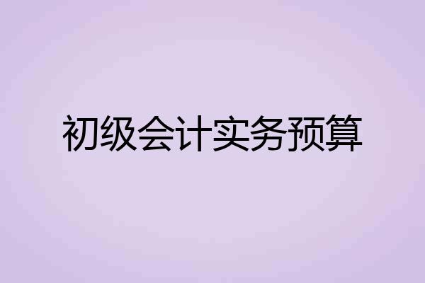 初级会计实务预算