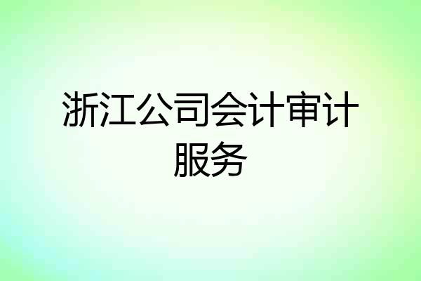 浙江公司会计审计服务