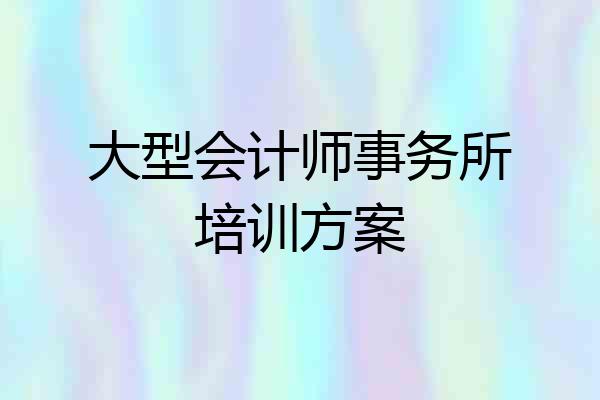 大型会计师事务所培训方案