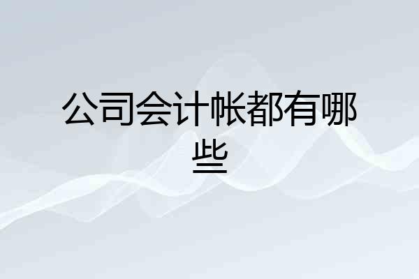 公司会计帐都有哪些