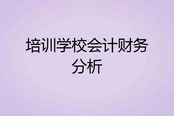 培训学校会计财务分析