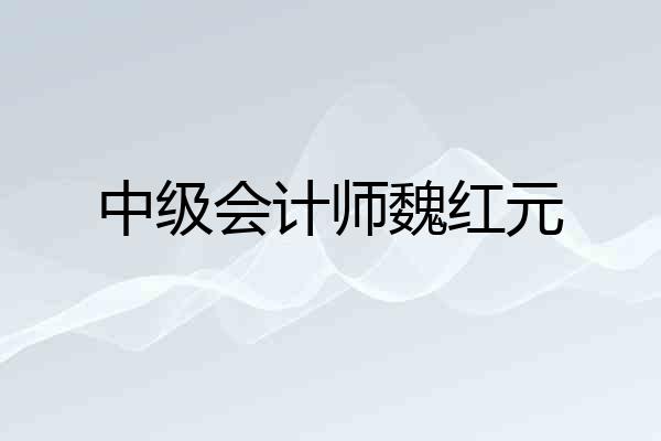 中级会计师魏红元