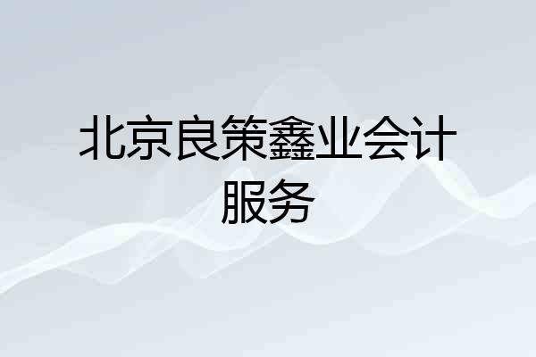 北京良策鑫业会计服务