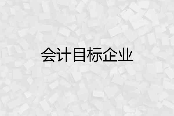 会计目标企业