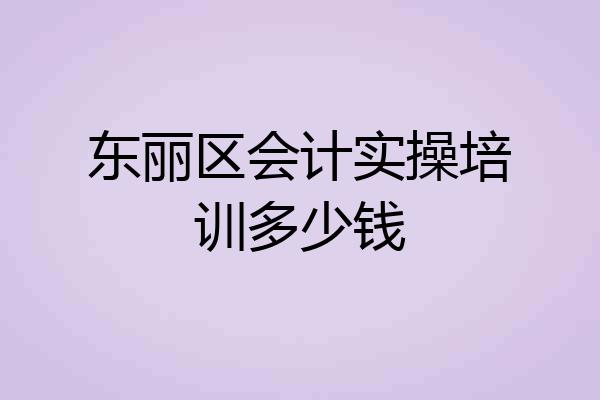 东丽区会计实操培训多少钱