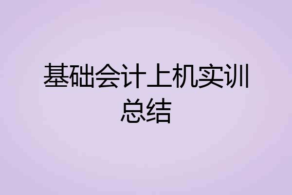 基础会计上机实训总结
