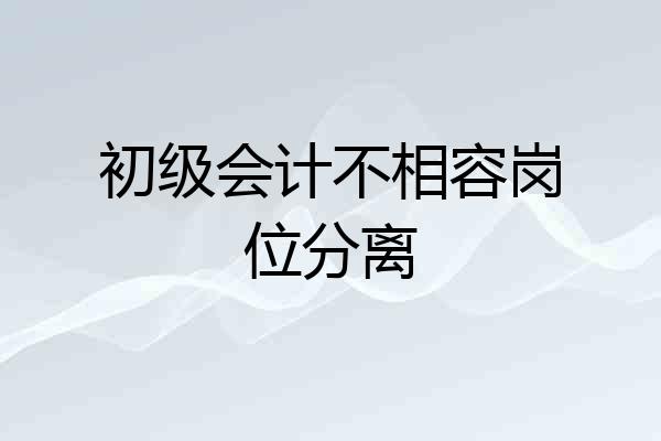 初级会计不相容岗位分离