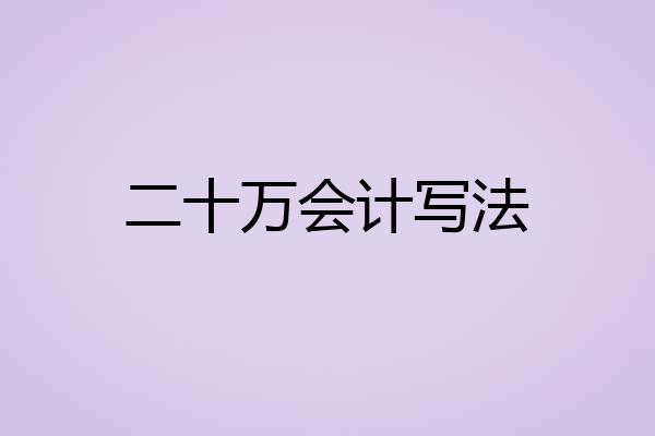 二十万会计写法