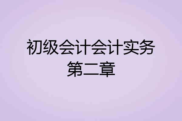 初级会计会计实务第二章
