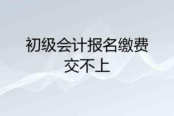 初级会计报名缴费交不上